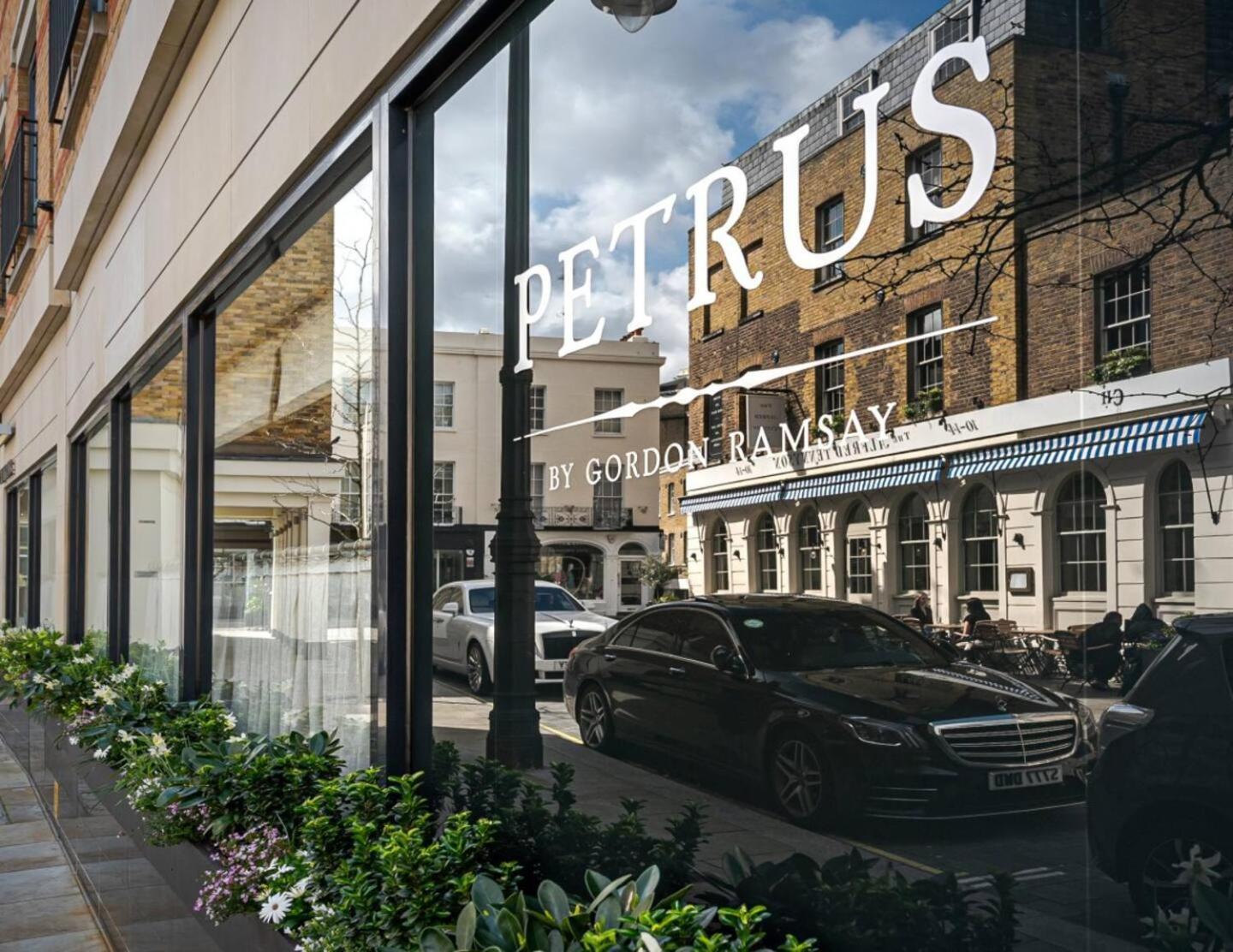 Chic Belgravia Hideaway With Private Patio 10 Mins To Harrods Лондон Екстер'єр фото